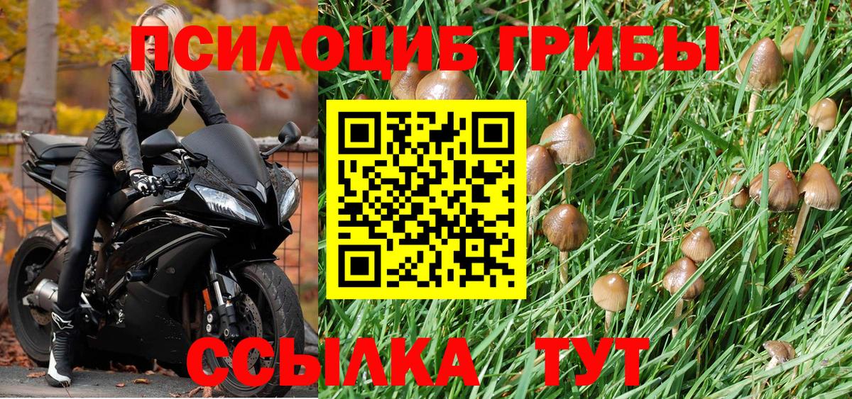 Галлюциногенные грибы Magic Shrooms Петрозаводск